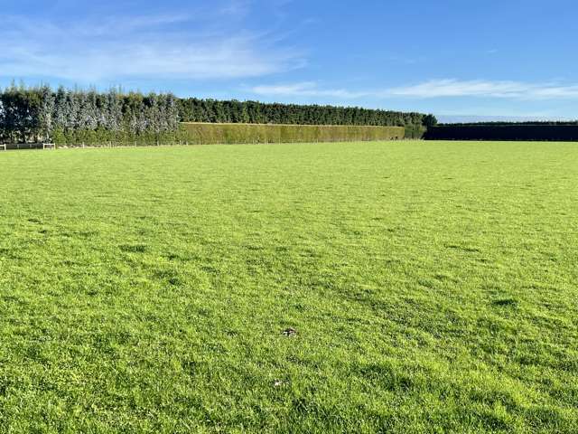 40 Billy Way West Plains_2