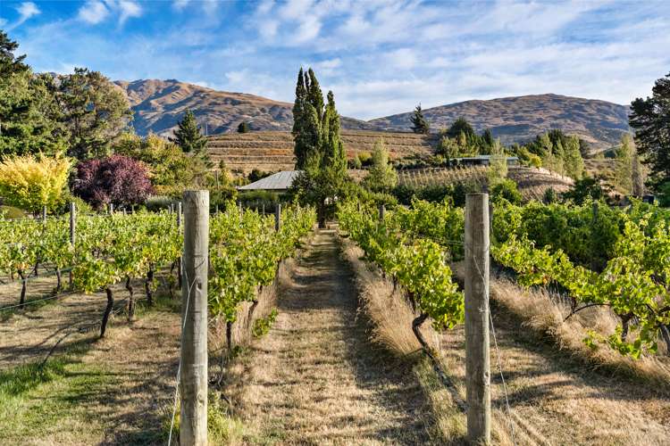 18 Coal Pit Road Gibbston_5