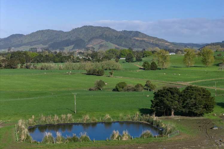 375 Waring Road Taupiri_23