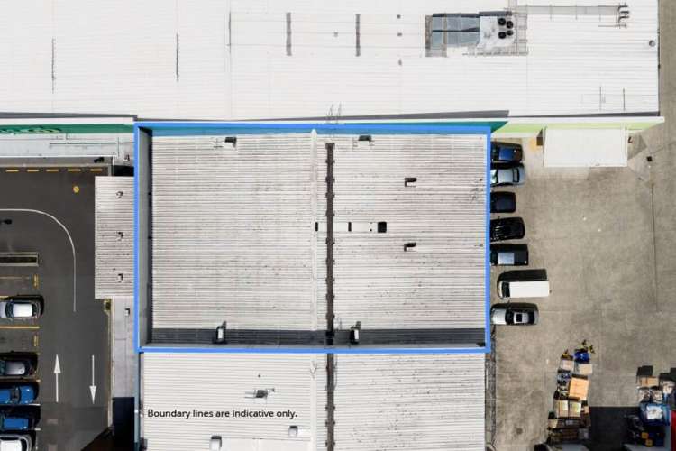 251 Fraser Street Tauranga_9