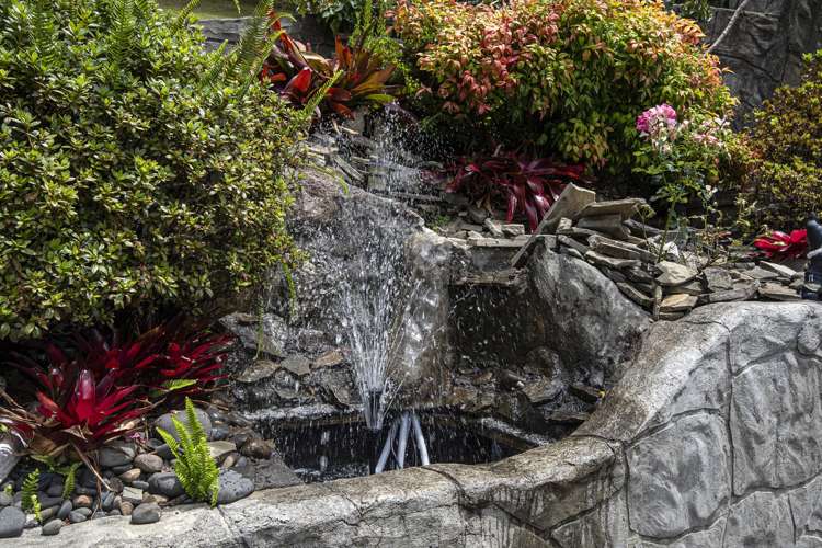 38c Tuatara Drive Kamo_28