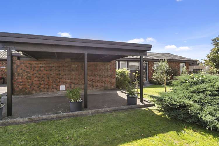 1001b High Street Avalon_19