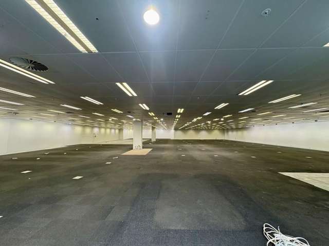 Tenancy 6, 683 Cameron Road Tauranga_3