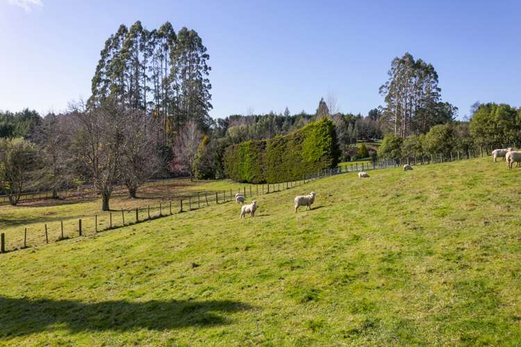 8 Mark Wynd Maunganamu_29