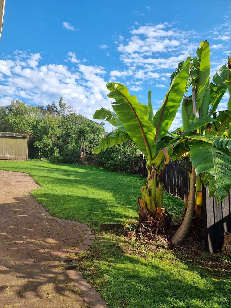 79 The Avenue Lynfield_22