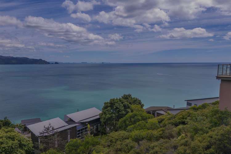 6 Fantail Terrace Tairua_4