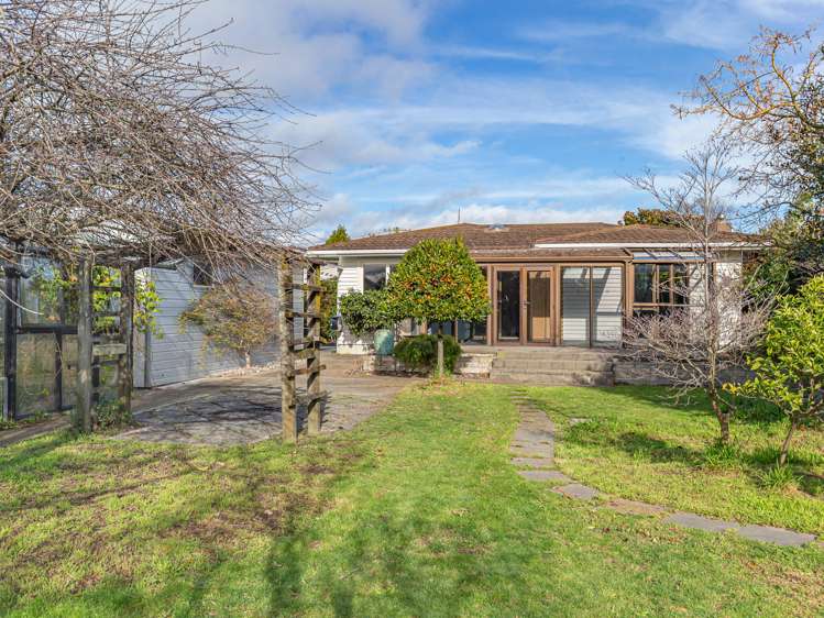 19 Parsons Avenue Levin_5