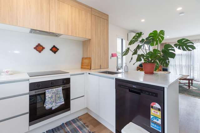 84 Selo Street Glen Eden_4