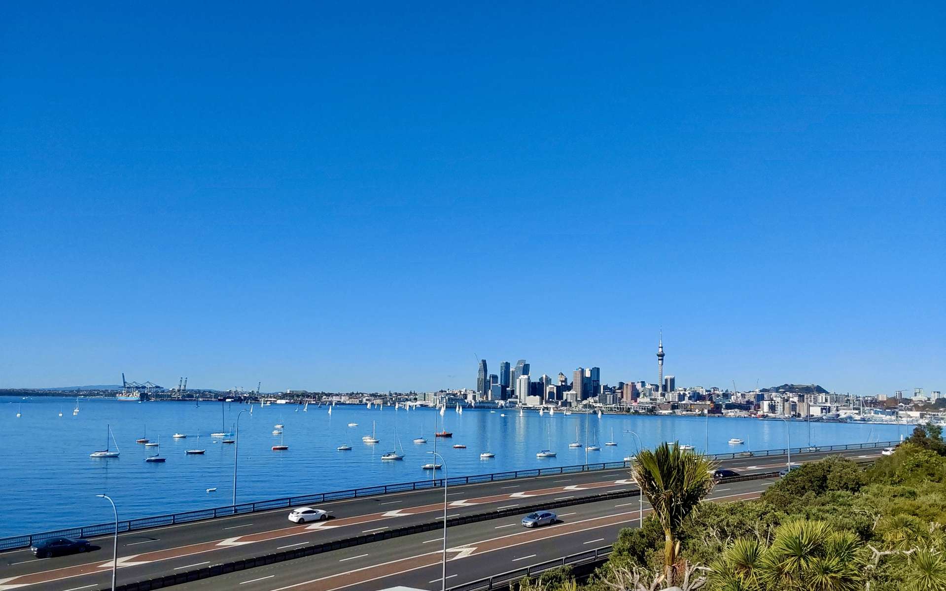 41 Princes Street Northcote Point_0