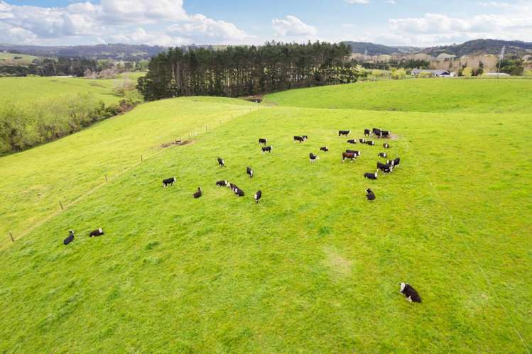 915 Old North Road Waimauku_29