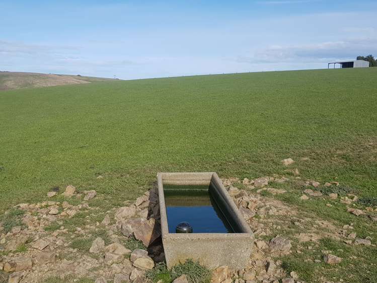 Hillend Road Balclutha_6