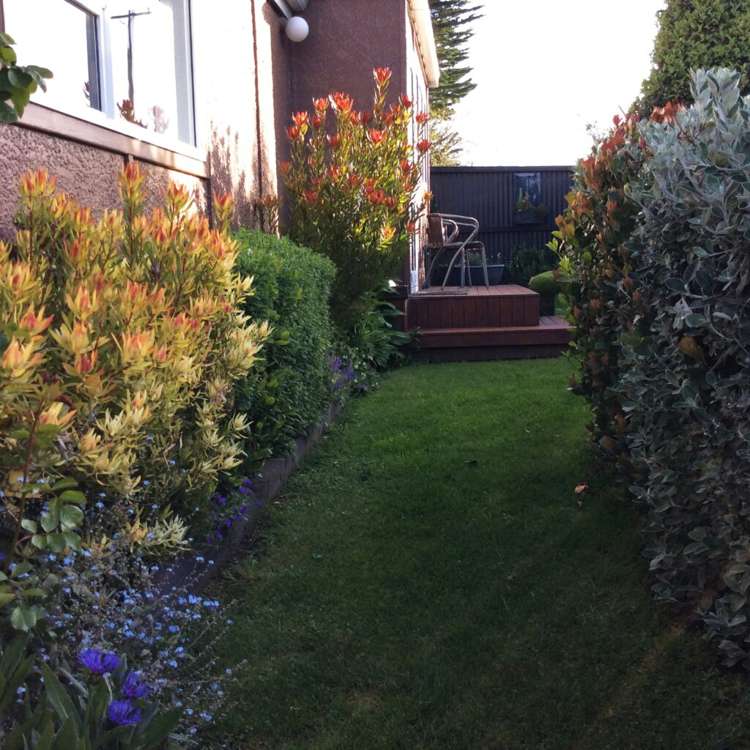 1342 Coast Road Toko Mouth_17