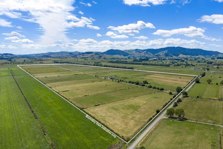 331 Kneebone Road Orini_4