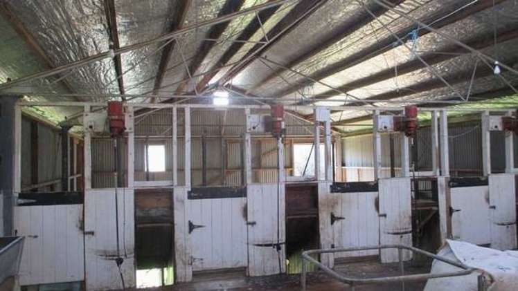 357 Summerhill Road Hinakura_11