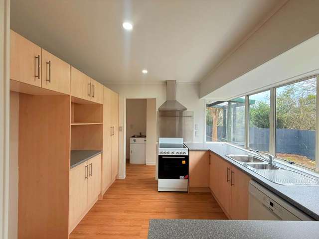 166B Hillside Road Papatoetoe_3