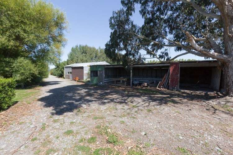 822 Kairanga Bunnythorpe Road Kairanga_38