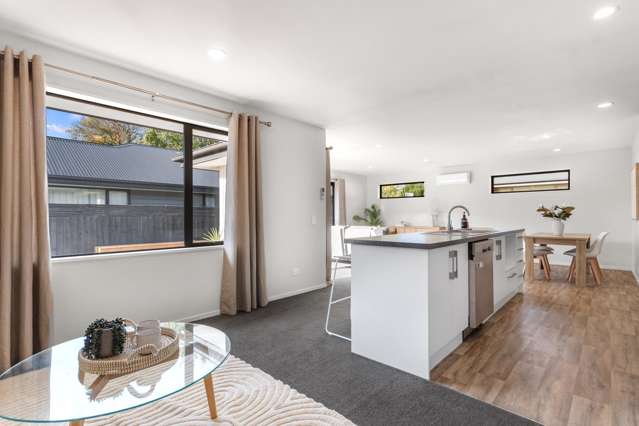 118 Aldwins Road Linwood_3