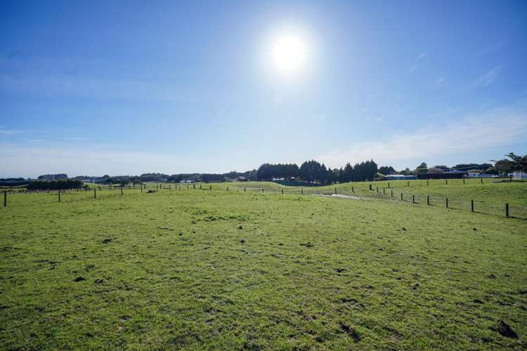 116 Avon Road Clifton_9