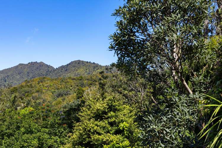 56 Upper Wainui Road Raglan_34
