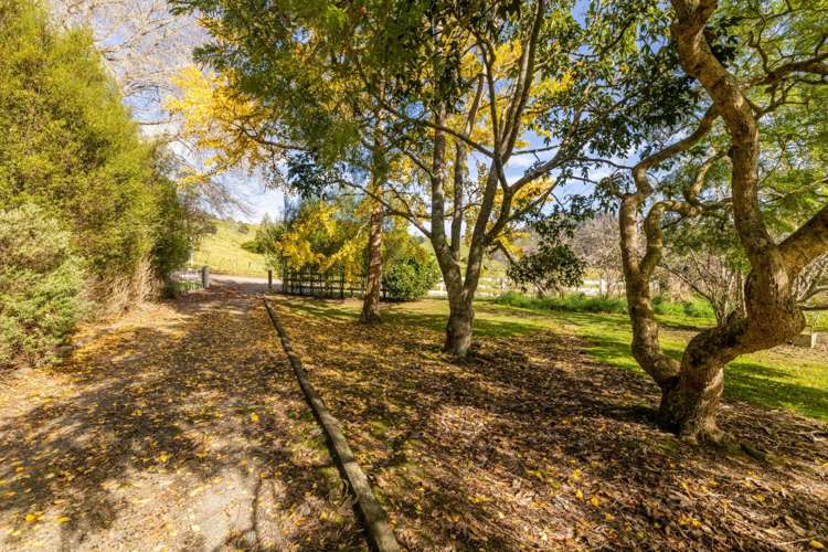 247 Mangataraire Road Horeke_30