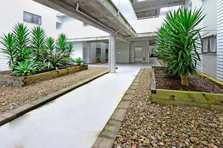 18/128 Stancombe Road Flat Bush_9