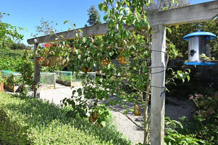 214 Main Street Greytown_16