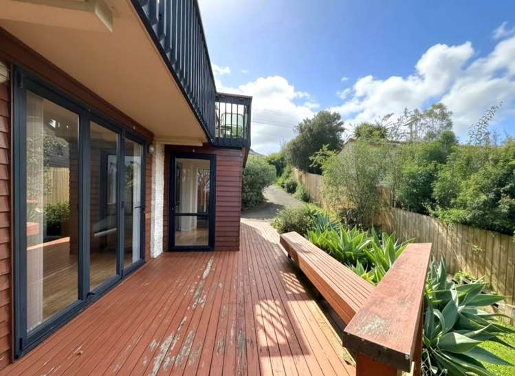 41B Layton Road Manly_9