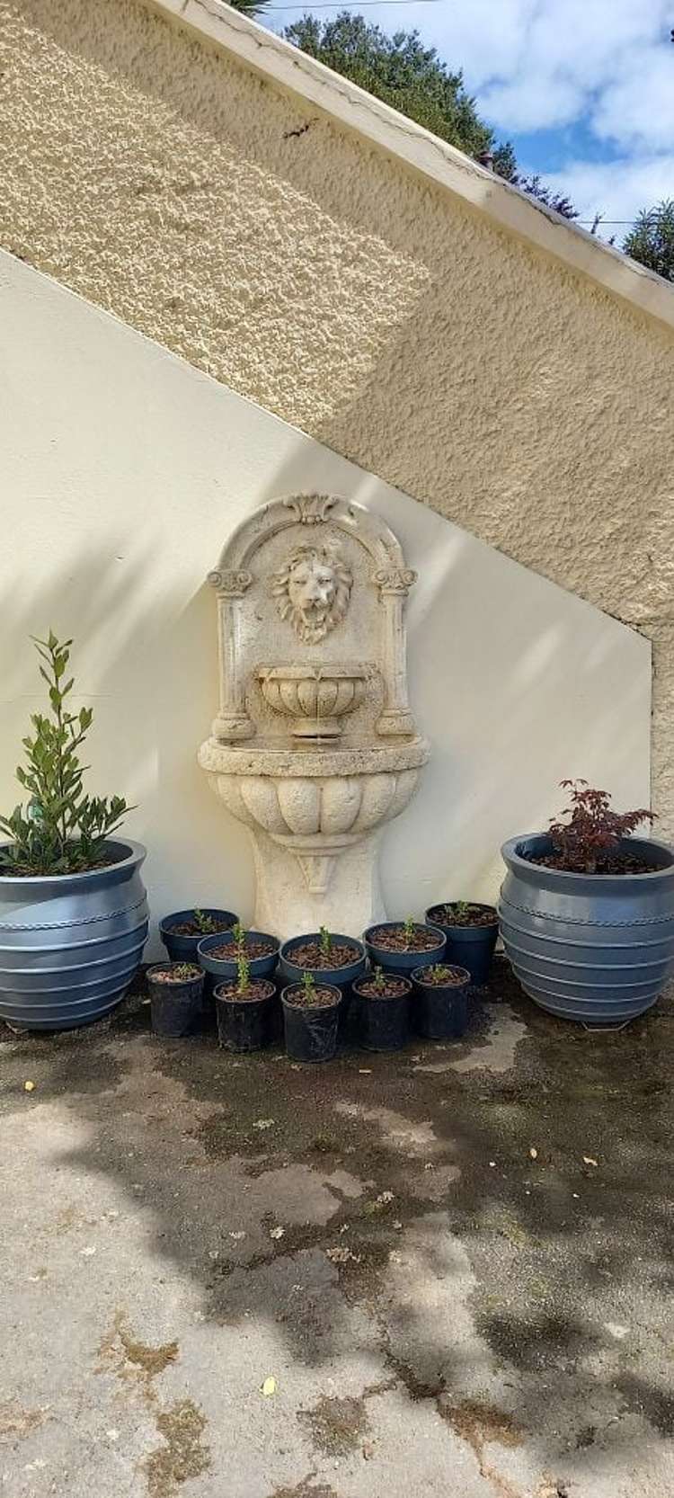 1/224 North Road North East Valley_17