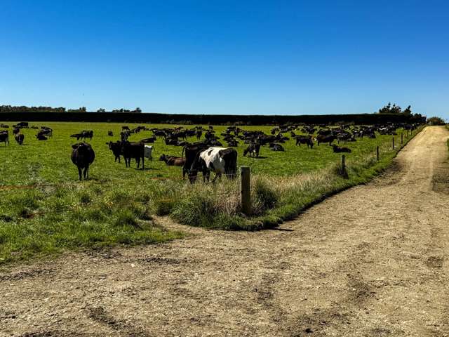 486 Irving Road and 150 Angle Road Woodlands_4