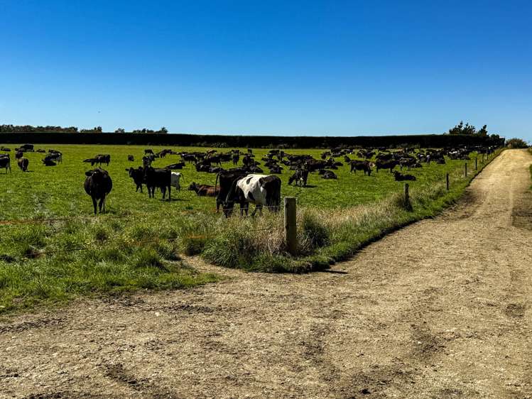 486 Irving Road and 150 Angle Road Woodlands_4