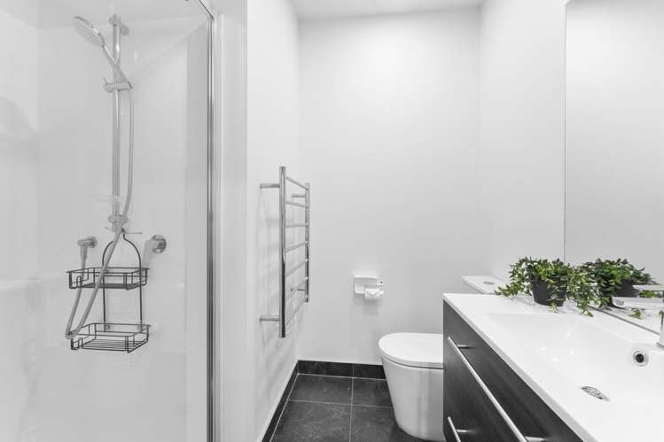 17 Kamahi Place Paraparaumu_4