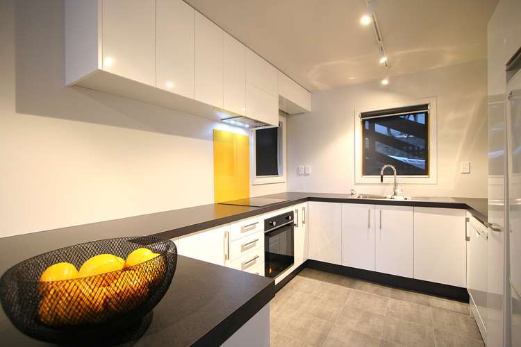 20 Stafford Street Mount Victoria_4