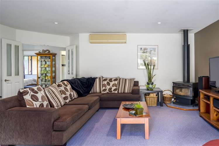 40 Peacock Place Swannanoa_15