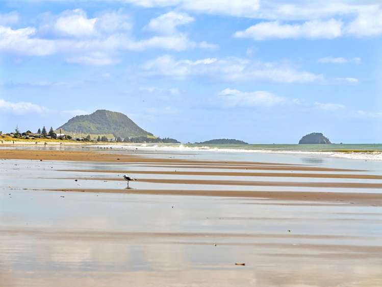 423 Oceanbeach Road Mt Maunganui_32