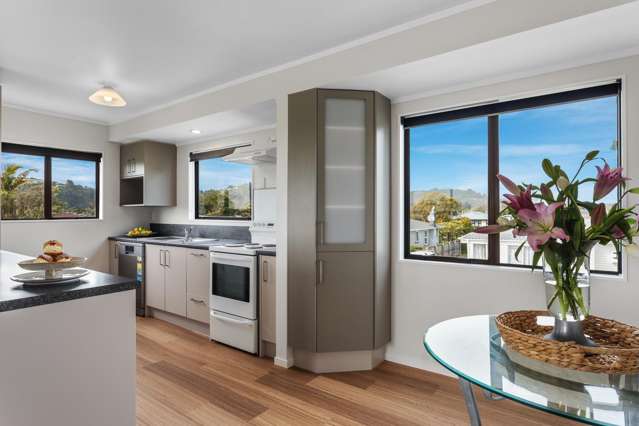 24a Barry Avenue Whakatane_1