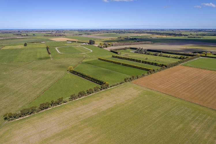 84 Prossers Road Leeston_17