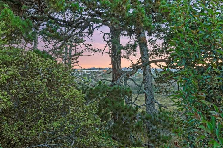 45 Hartley Terrace Massey_23