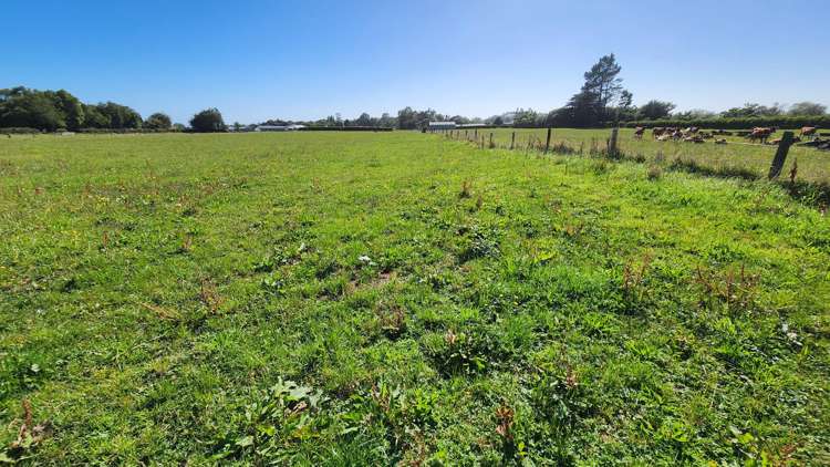 45 and 47 Windsor Road Inglewood_17