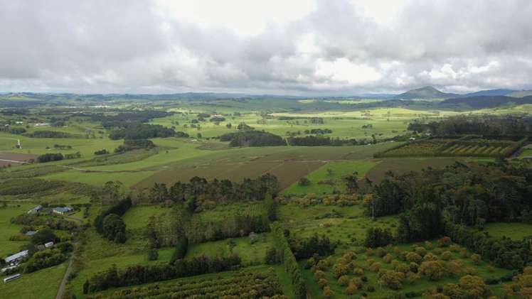 405 Tara Road Mangawhai_6