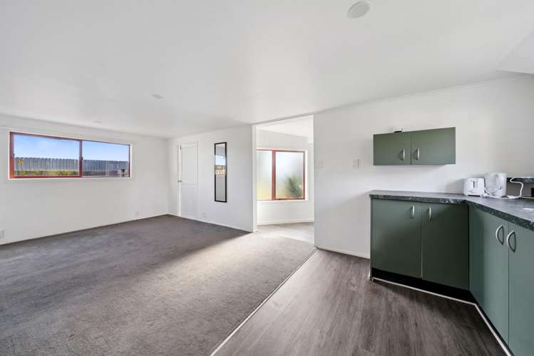 29B Sussex Street Levin_15