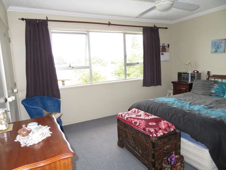 65 Hall Street Kihikihi_10