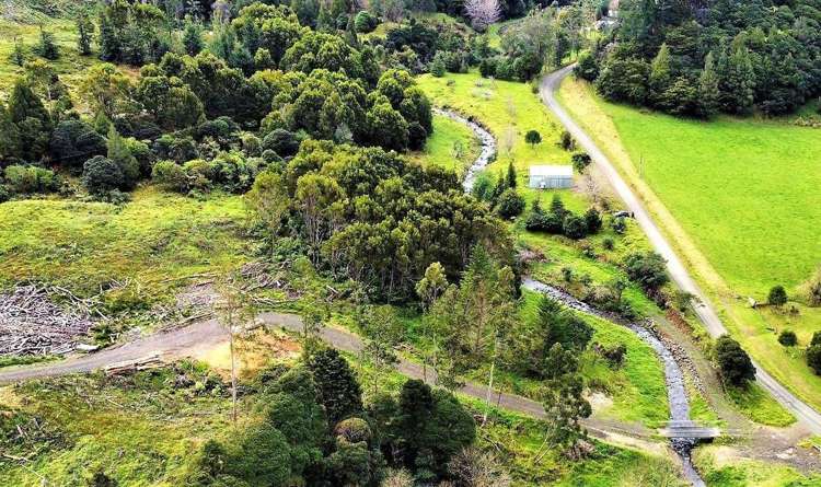 Wekaweka Road Waimamaku_28