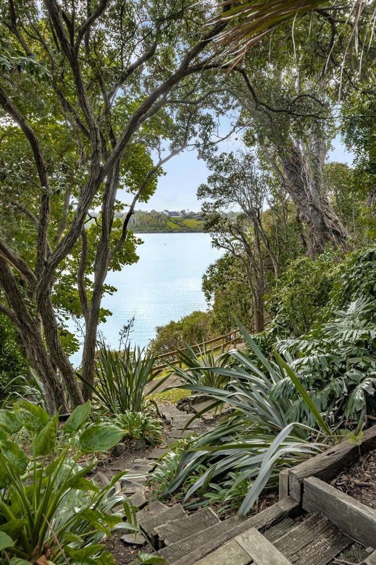 24 Darwin Lane Remuera_18