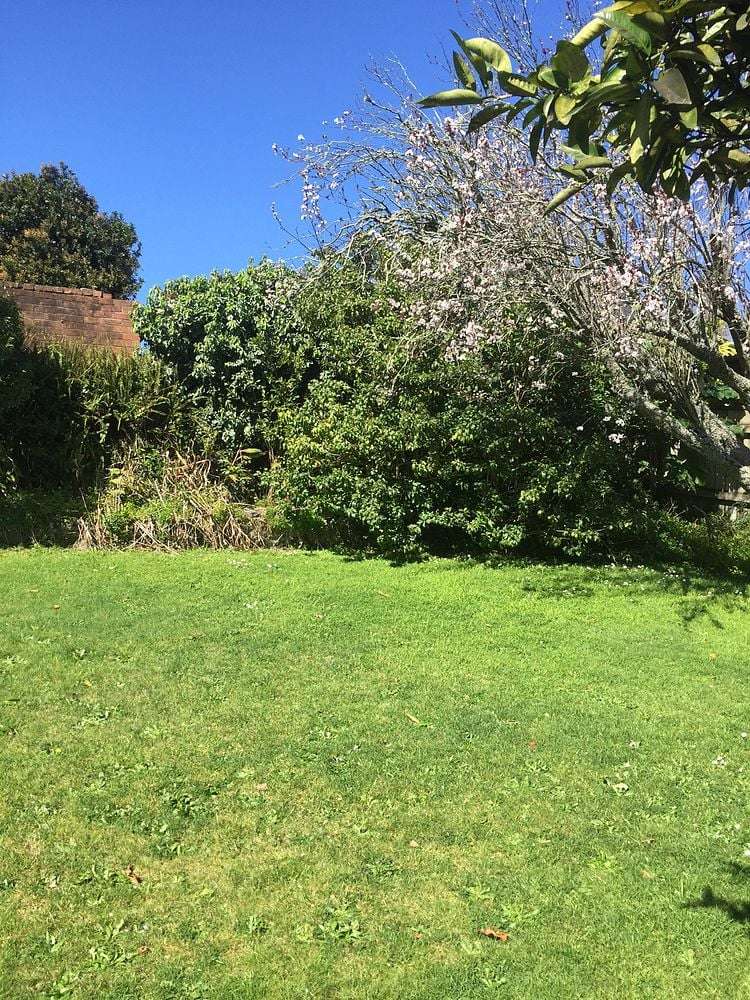 Address withheld Mount Eden_11