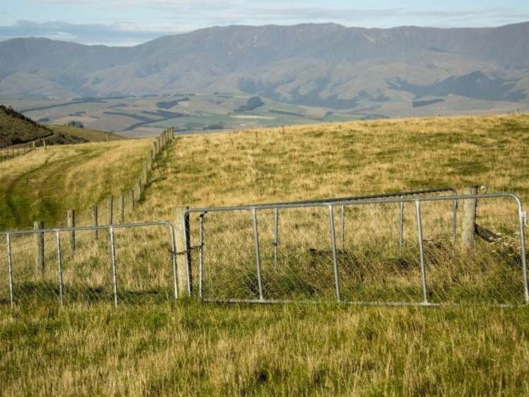 126 Mcphersons Road Taiko_6