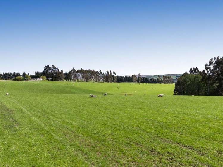 1680 Mahinerangi Road Waipori_16