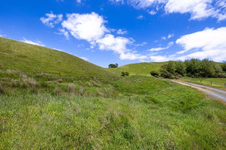 Te Akau Coast Road Te Akau_20