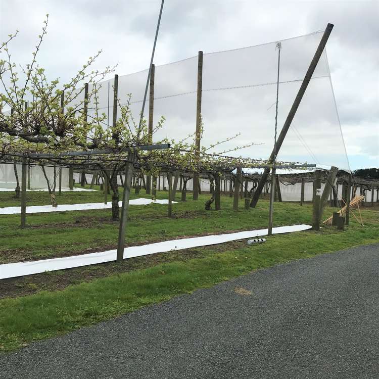 162 Waimea Drive Te Puke_3