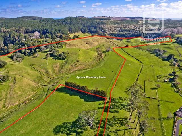 95 Twin Springs Drive Helensville_3