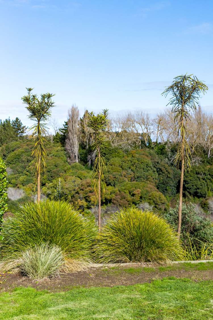 29 Jarrett Terrace Leamington_32